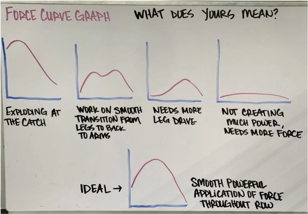 rower force curve graph